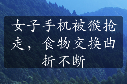 女子手机被猴抢走，食物交换曲折不断