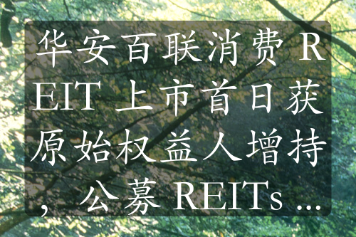 华安百联消费 REIT 上市首日获原始权益人增持，公募 REITs 受青睐