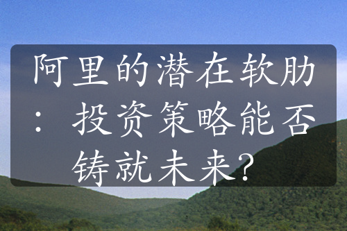 阿里的潜在软肋：投资策略能否铸就未来？