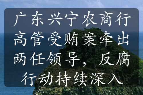 广东兴宁农商行高管受贿案牵出两任领导，反腐行动持续深入