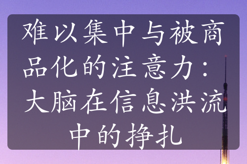 难以集中与被商品化的注意力：大脑在信息洪流中的挣扎