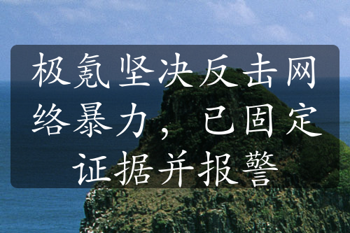 极氪坚决反击网络暴力，已固定证据并报警