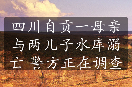 四川自贡一母亲与两儿子水库溺亡 警方正在调查