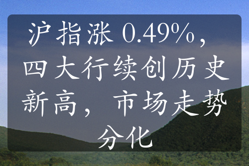 沪指涨 0.49%，四大行续创历史新高，市场走势分化