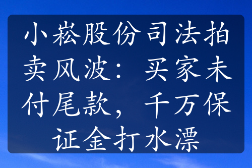 小崧股份司法拍卖风波：买家未付尾款，千万保证金打水漂