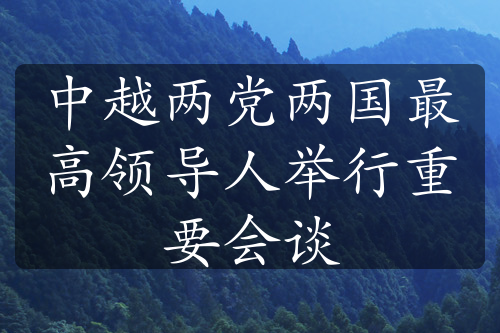 中越两党两国最高领导人举行重要会谈