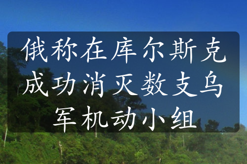 俄称在库尔斯克成功消灭数支乌军机动小组