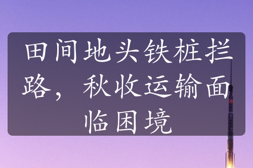 田间地头铁桩拦路，秋收运输面临困境