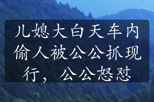 儿媳大白天车内偷人被公公抓现行，公公怒怼