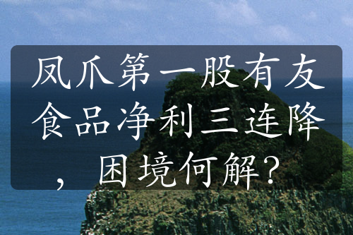 凤爪第一股有友食品净利三连降，困境何解？