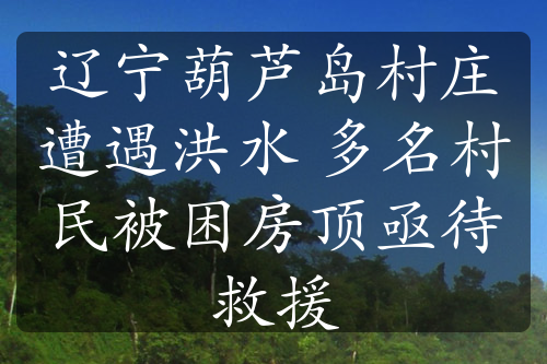 辽宁葫芦岛村庄遭遇洪水 多名村民被困房顶亟待救援