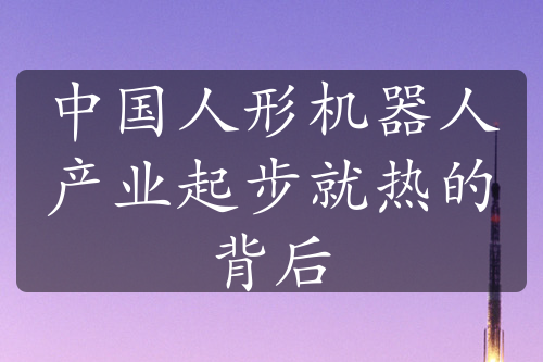 中国人形机器人产业起步就热的背后