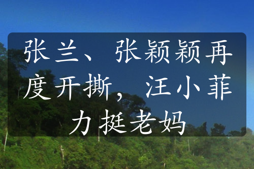 张兰、张颖颖再度开撕，汪小菲力挺老妈