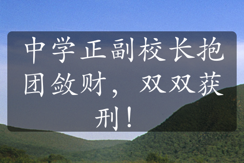 中学正副校长抱团敛财，双双获刑！