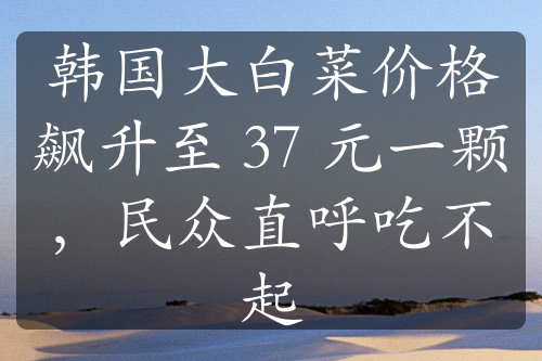 韩国大白菜价格飙升至 37 元一颗，民众直呼吃不起