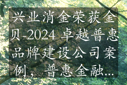 兴业消金荣获金贝-2024 卓越普惠品牌建设公司案例，普惠金融成果斐然