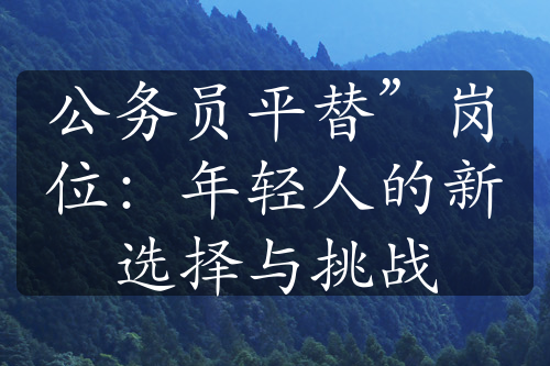 公务员平替”岗位：年轻人的新选择与挑战