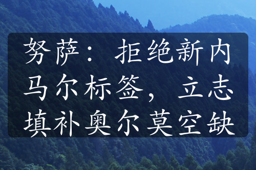 努萨：拒绝新内马尔标签，立志填补奥尔莫空缺