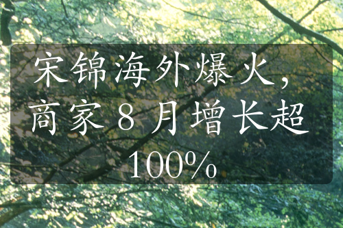 宋锦海外爆火，商家 8 月增长超 100%