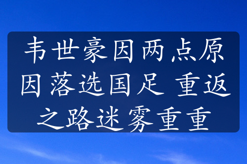 韦世豪因两点原因落选国足 重返之路迷雾重重