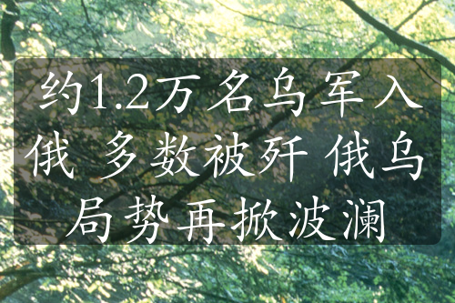 约1.2万名乌军入俄 多数被歼 俄乌局势再掀波澜