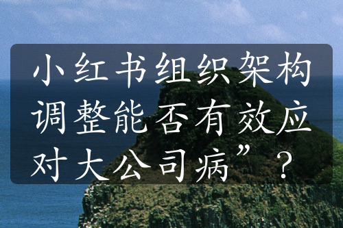 小红书组织架构调整能否有效应对大公司病”？