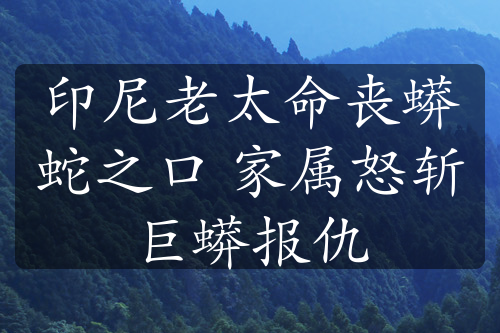 印尼老太命丧蟒蛇之口 家属怒斩巨蟒报仇