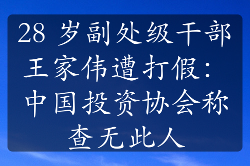 28 岁副处级干部王家伟遭打假：中国投资协会称查无此人