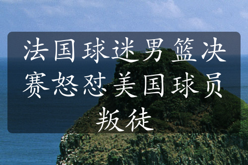 法国球迷男篮决赛怒怼美国球员叛徒