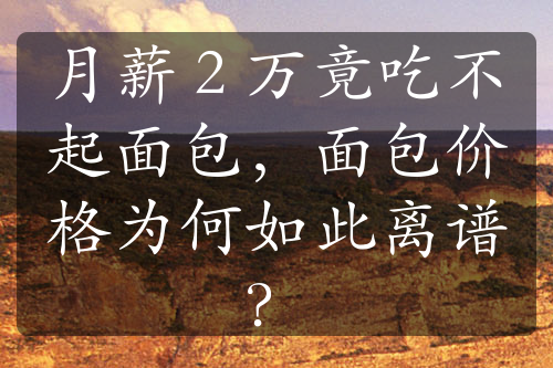 月薪 2 万竟吃不起面包，面包价格为何如此离谱？