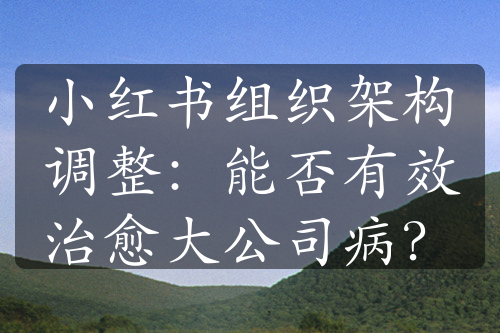 小红书组织架构调整：能否有效治愈大公司病？