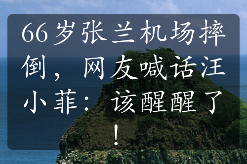 66岁张兰机场摔倒，网友喊话汪小菲：该醒醒了！